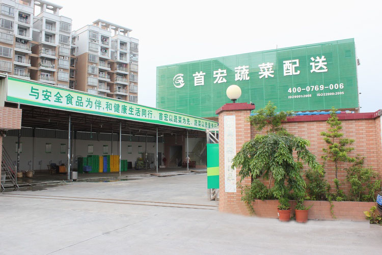 云浮蔬菜配送